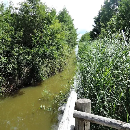 Lakeside Haven In The Heart Of Wolin Сasa de vacaciones